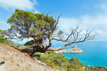 Similar image 5610404