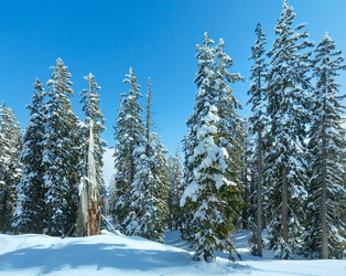 Similar image 5610433