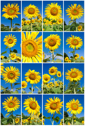 Similar image 5610455