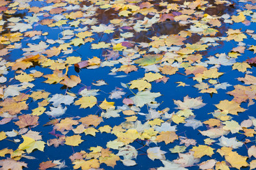 Similar image 5610478