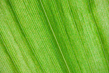 Similar image 5610521