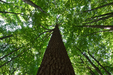 Similar image 5610532