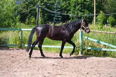 Similar image 5610539