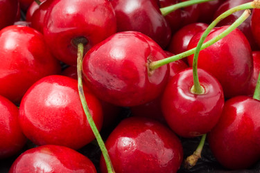 Similar image 5610546