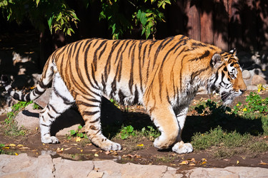 Similar image 5610548