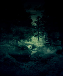 Similar image 5610653