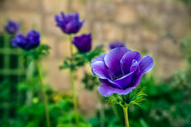 Similar image 5610860