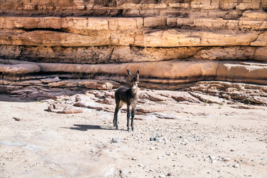 Similar image 5610861