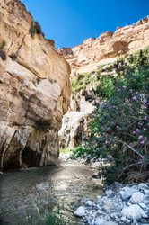 Similar image 5610865