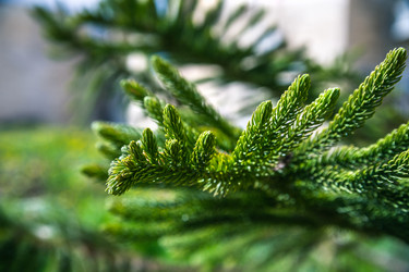 Similar image 5610868