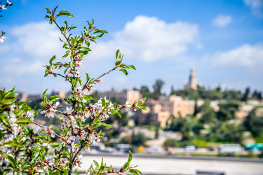 Similar image 5610877