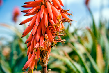 Similar image 5610880