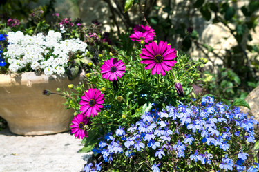 Similar image 5610909