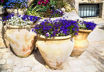 Similar image 5610939