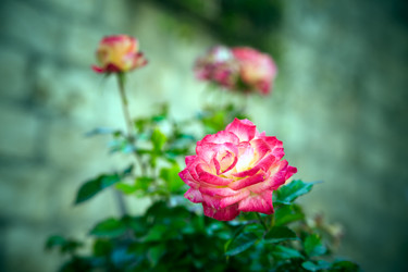 Similar image 5610941