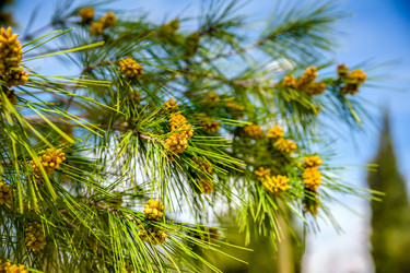 Similar image 5610943