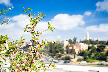 Similar image 5610946