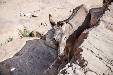 Similar image 5610969