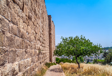 Similar image 5611049