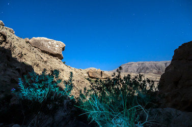 Similar image 5611053