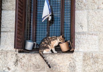 Similar image 5611060