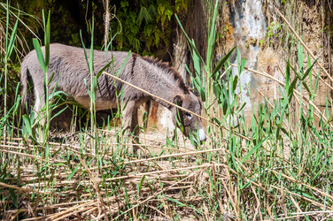 Similar image 5611119