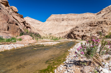 Similar image 5611151