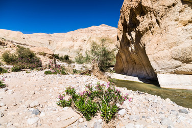 Similar image 5611152