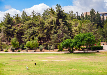 Similar image 5611156