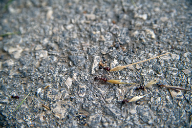 Similar image 5611160