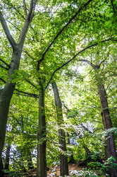 Similar image 5611242