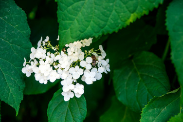 Similar image 5611243