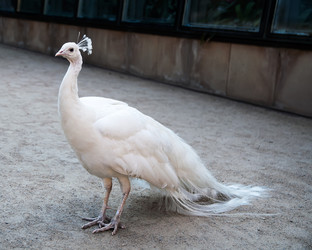 Similar image 5611251