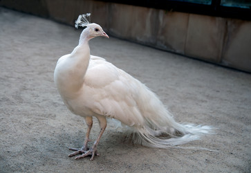 Similar image 5611253