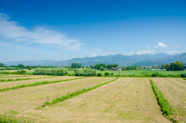 Similar image 5611319