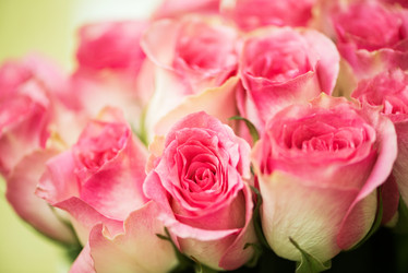 Similar image 5611478