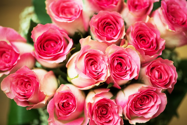 Similar image 5611493