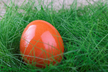 Similar image 5611709