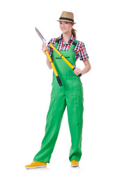 Similar image 5611738