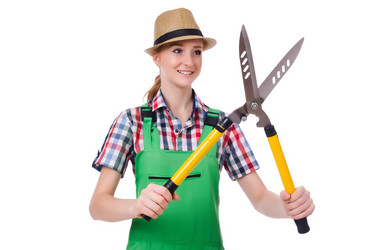 Similar image 5611739