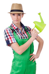 Similar image 5611742