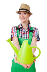 Similar image 5611753