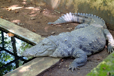 Similar image 5611893