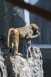 Similar image 5611976