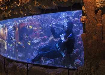 Similar image 5611979