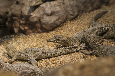 Similar image 5611980