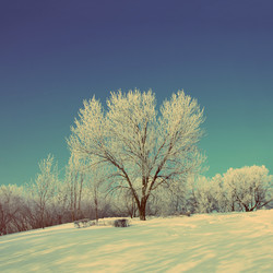 Similar image 5612406