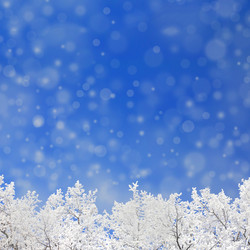 Similar image 5612407