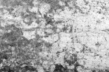 Similar image 5612624