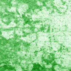 Similar image 5612625